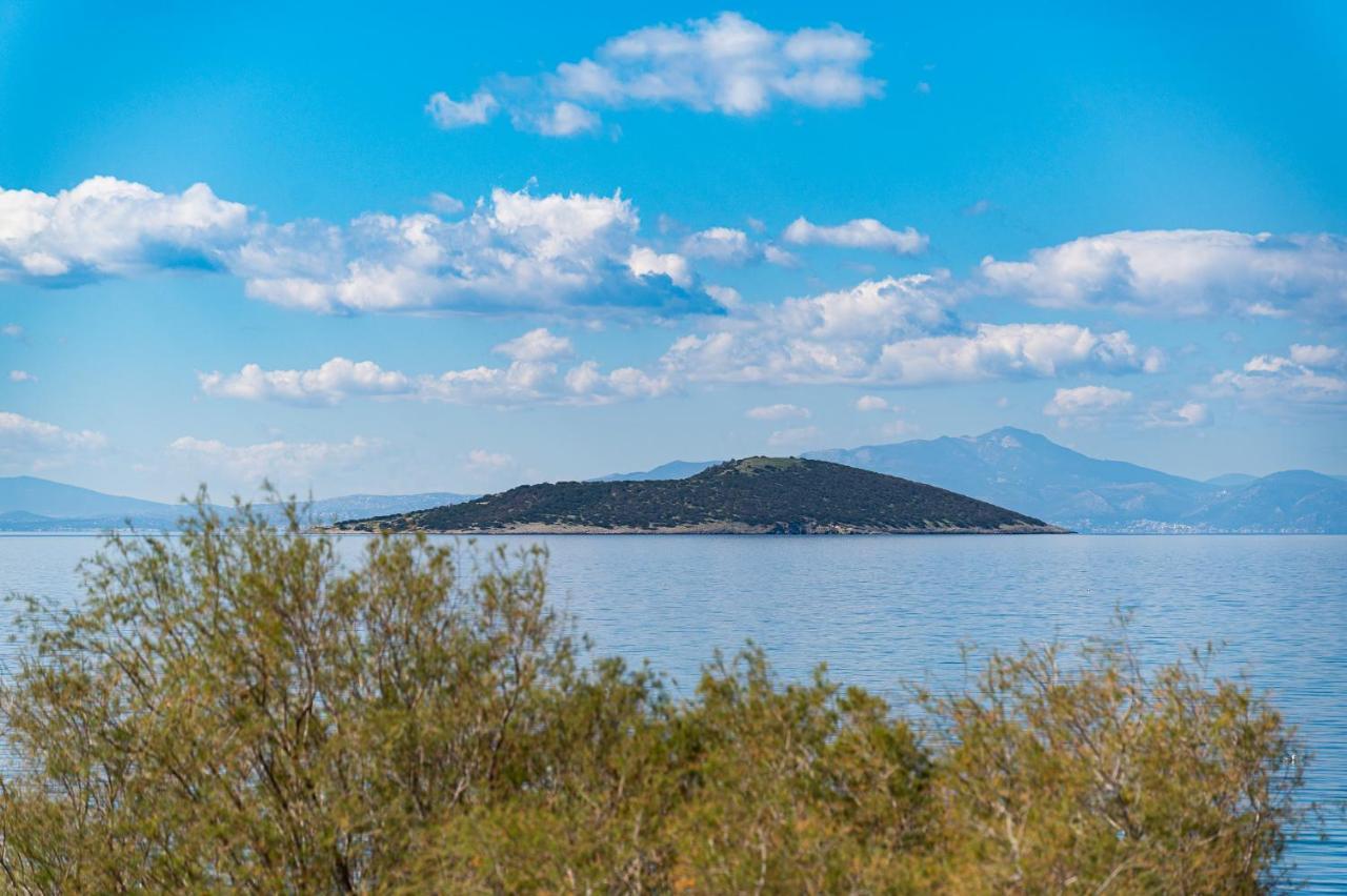 Ο Μόλος Apartman Marmari  Kültér fotó